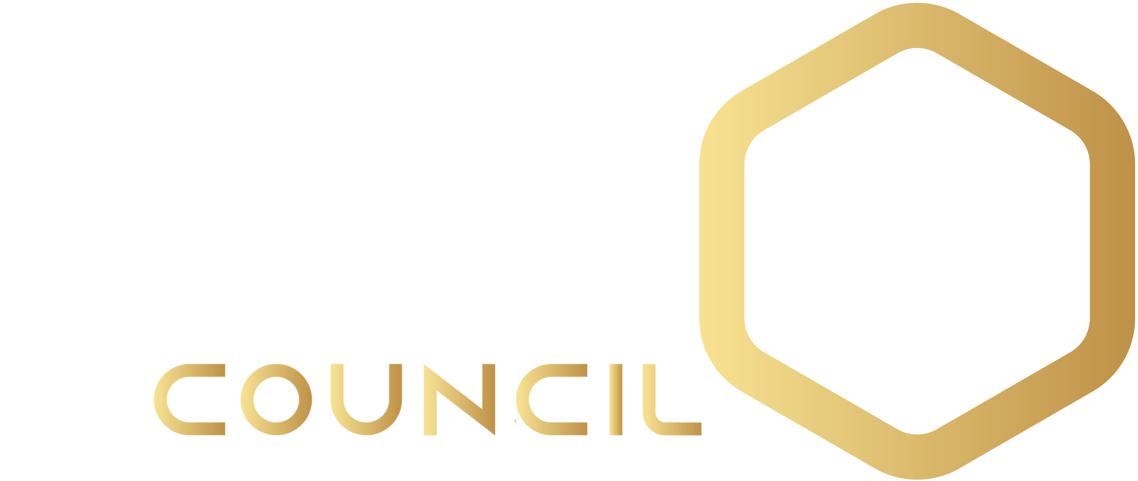 Elev8 Council